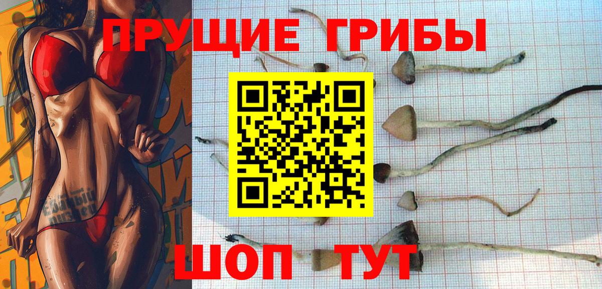 Псилоцибиновые грибы Magic Shrooms  Вход с VPN  Сунжа 